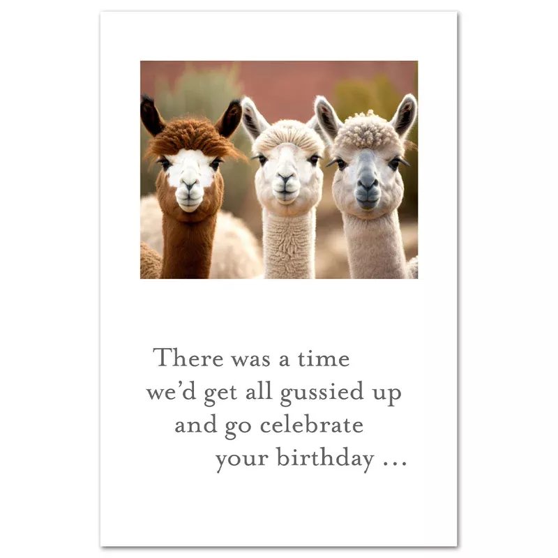 Alpaca Pals Card