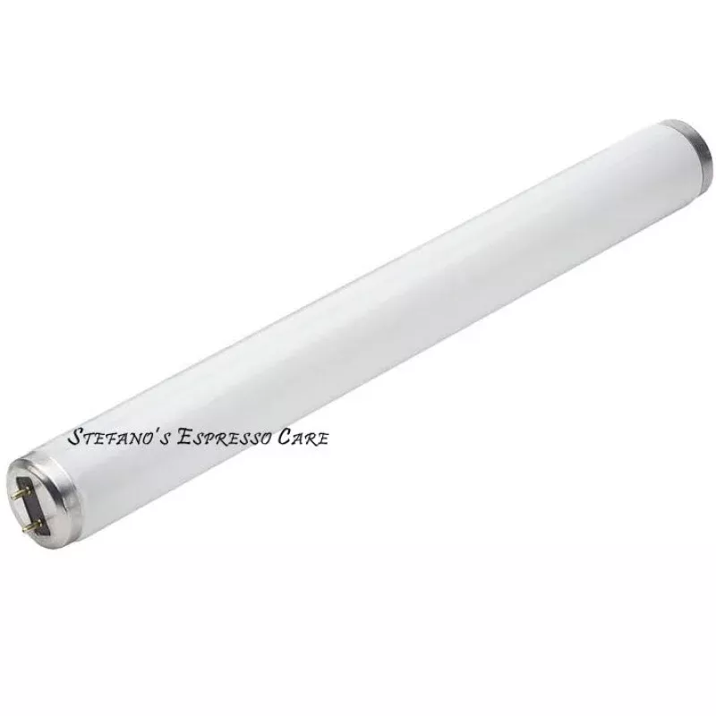 Elektra Barlume Fluorescent Light